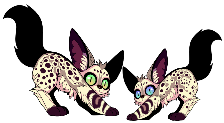 Patternpaw
